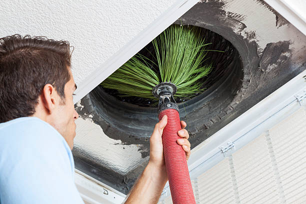 Best Home Air Vent Cleaning  in Montana City, MT